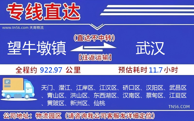 望牛墩鎮到武漢物流公司 望牛墩鎮到武漢物流公司